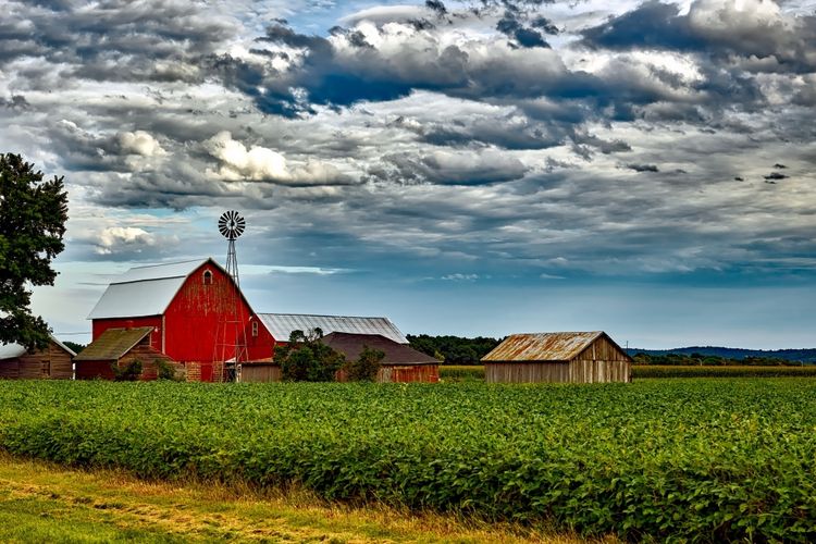 Cottage Grove, WI Homes for Sale and Realtors